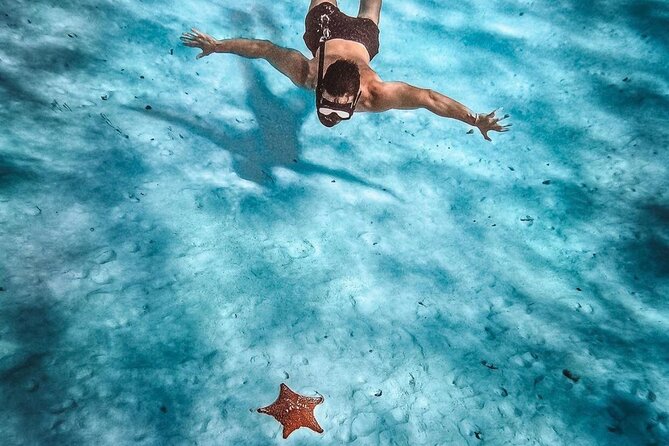 El Cielo Snorkeling Adventure in Cozumel - Palancar Reef: coral gardens and lots of small-life viewing time