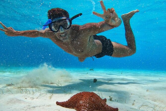 El Cielo Snorkeling Adventure in Cozumel - Colombia Reef: drop-offs, caves, tunnels, and bigger ocean sightings