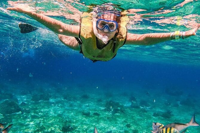 El Cielo Snorkeling Adventure in Cozumel - Food, drinks, and the value math that actually matters