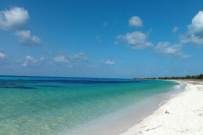 Electric Island Tour with Snorkeling, Lunch & Otoch Mayan Experience - Who This Tour Is Best For (and Who Should Skip It)