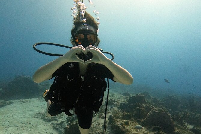 Enjoy two dives without previous experience with a boat trip - Key Highlights That Matter