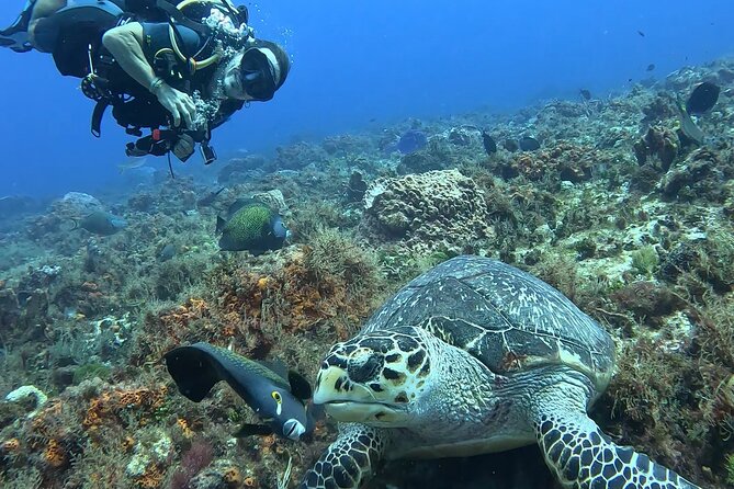 Enjoy two dives without previous experience with a boat trip - Guides and Group Style: What a Private Setup Changes