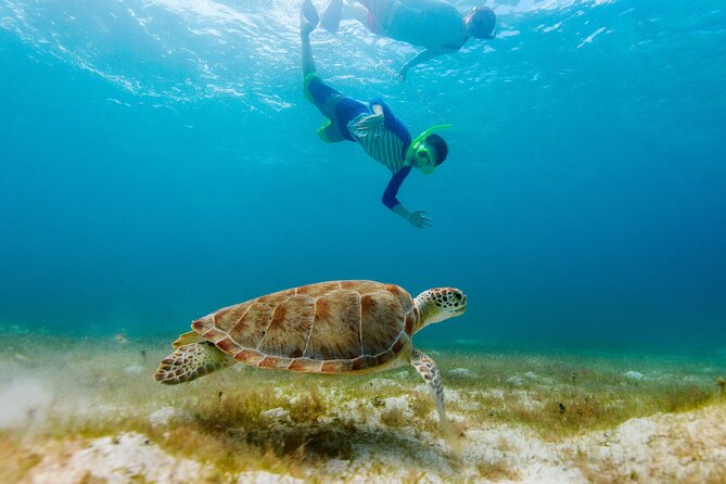 Exclusive Private Boat to El Cielo - Stop 3: Playa El Cielo (1 hour 30 minutes) for the starfish bay vibe