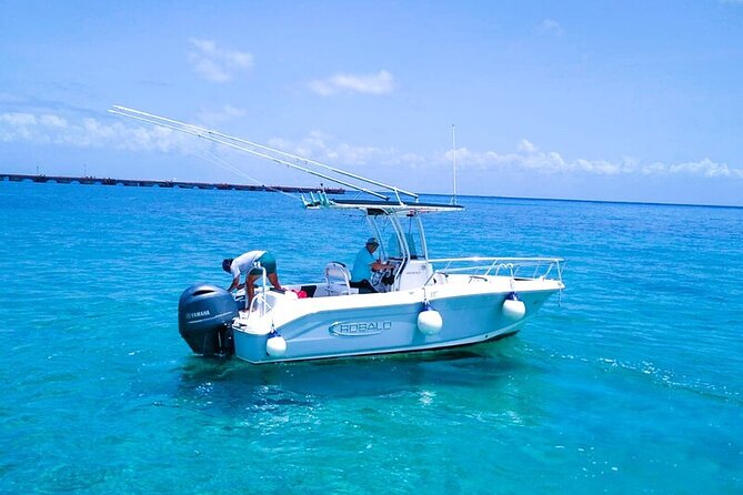 Exclusive Private Boat to El Cielo - Stop 4: Parque Nacional Arrecifes de Cozumel (1 hour 50 minutes) for more reef time