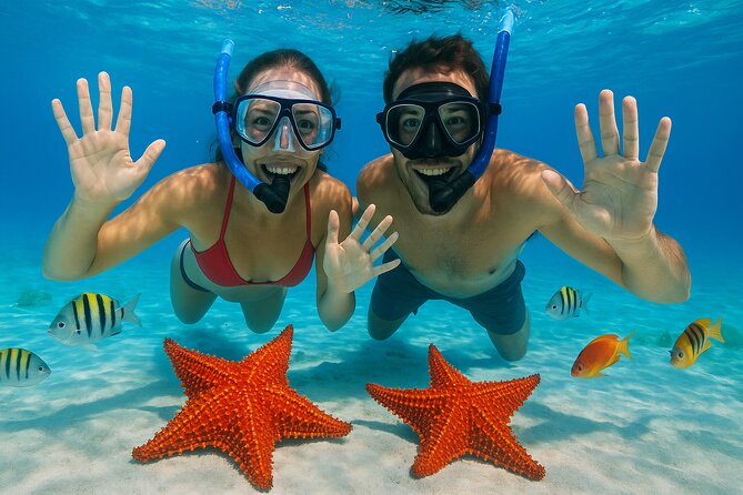 Exploration to El Cielo and Reefs: Live up close with stars - Key highlights worth knowing
