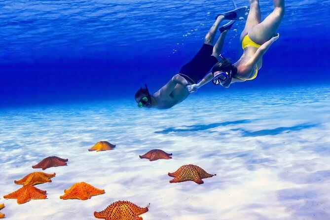 Exploration to El Cielo and Reefs: Live up close with stars - The meeting point and how the day likely feels on the water