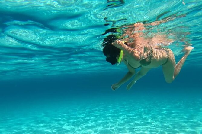 Exploration to El Cielo and Reefs: Live up close with stars - Palancar Reef snorkel: sea turtles and calmer viewing time