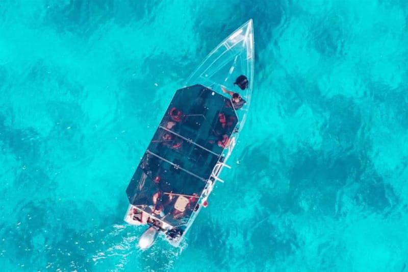 Explore the sea of cozumel in a transprent boat with drinks and snorkel. - What you see around the shipwrecks and reefs
