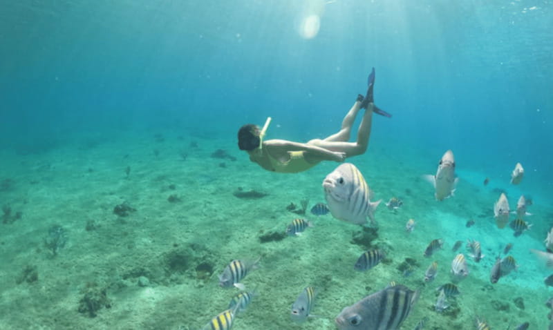 Explore the sea of cozumel in a transprent boat with drinks and snorkel. - Price and whether $44 makes sense for 1.5 hours