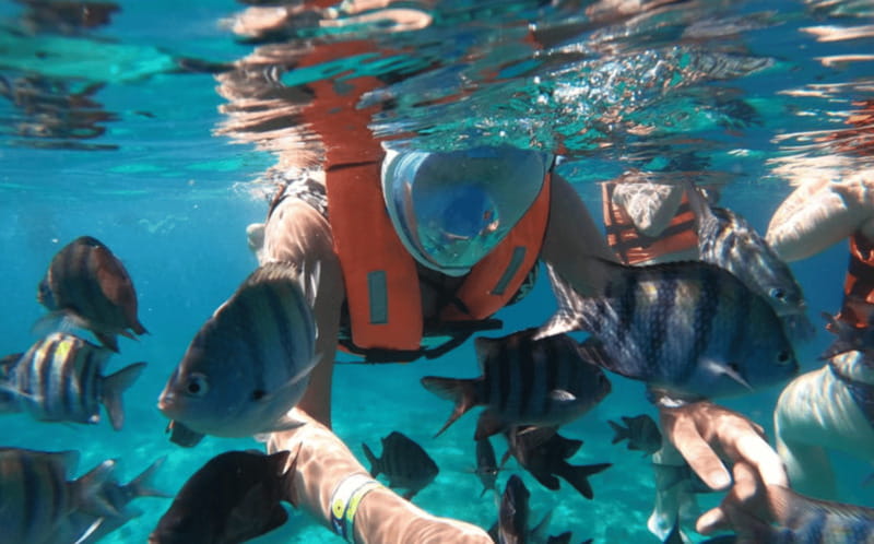 Explore the sea of cozumel in a transprent boat with drinks and snorkel. - Who should book this transparent boat tour, and who should skip it