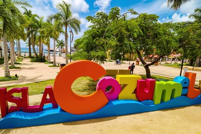 Exploring the Island: 5 Destinations in a One Day Tour - Rancho El Gato Tequila Tasting: Flavor Flights and Shop Stop Reality
