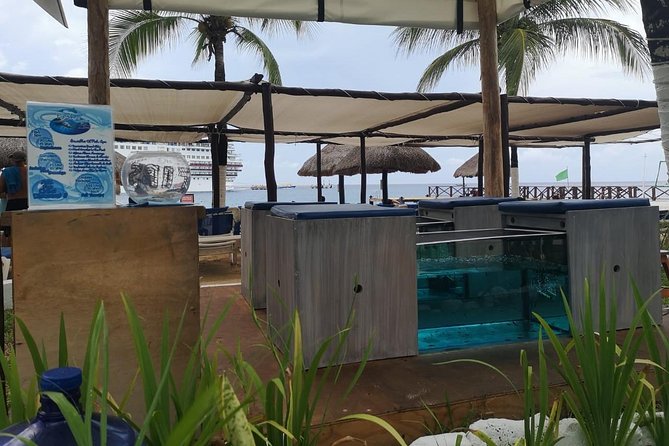 Fish Spa, Beach Break with Lounge Chairs, Umbrellas & Beach Area - The Fish Spa Pedicure and the Red Garra Fish Tanks