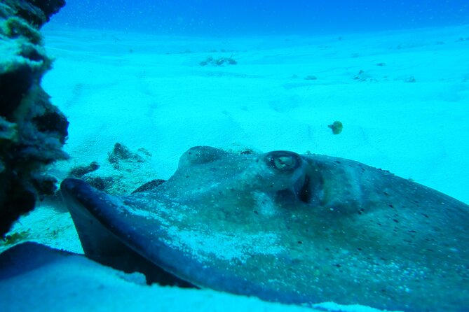 Fun dives Cozumel south marine park - Lunch and downtime between sessions