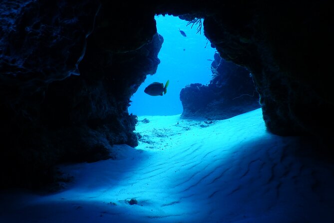 FunDiving in Cozumel - By Ferry - 2 Tanks in the wonderful Caribbean sea - Second site strategy: maximizing your limited time in protected waters