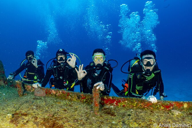 FunDiving in Cozumel - By Ferry - 2 Tanks in the wonderful Caribbean sea - Stop 1: Palancar Reef and what you should watch for