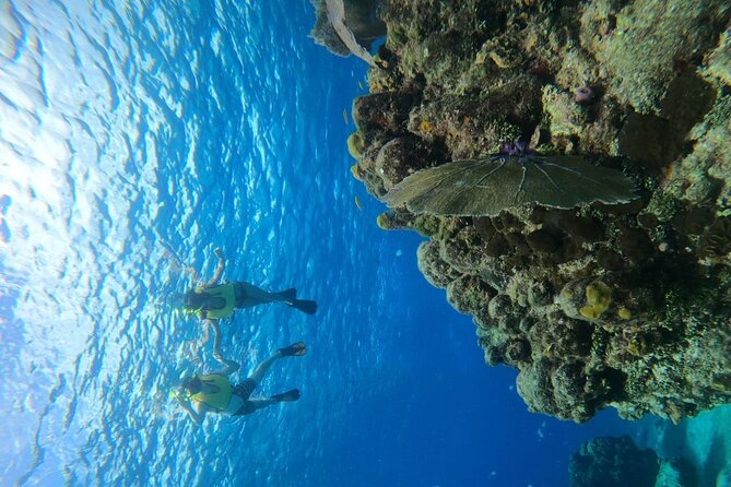 Get to know heaven on earth with Chivis del mar private - Stop 2 Playa El Cielo: the starfish sandbank moment