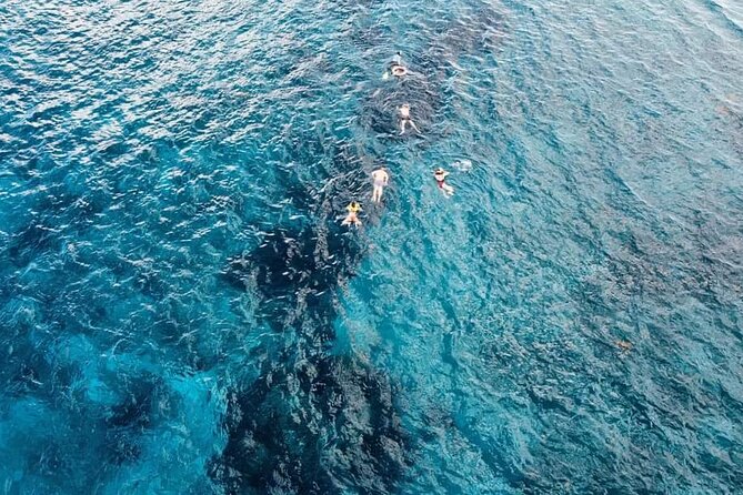 Get to know heaven on earth with Chivis del mar private - Stop 1 Palancar Reef (Palancar Herradura): coral shapes and big fish