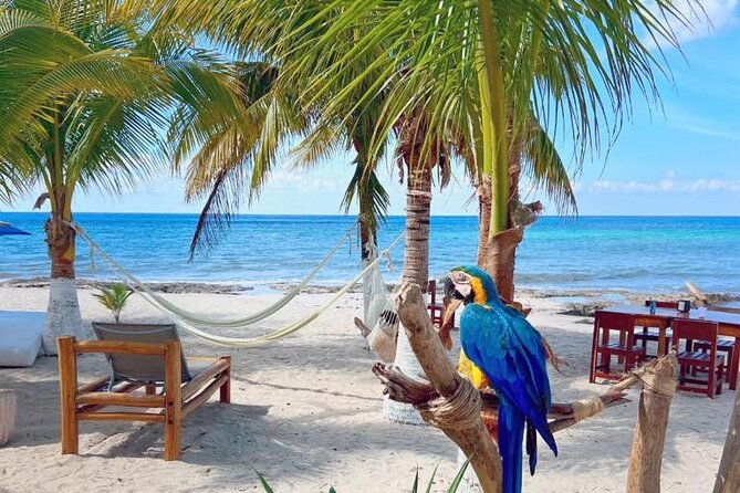 Half-Day Island Tour with Mayan Experience & Beach Break - Cozumel Downtown Walk: Centennial Clock and Quick Island Orientation