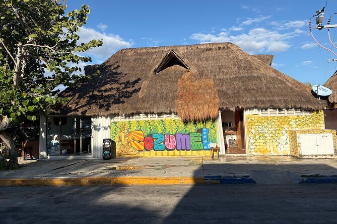 History walking - Foodie Cozumel tour - Mercado Municipal: birria, local fruits, and the lunch moment