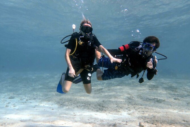 Introductory Diving Class in the Cozumel Reefs - Key things that make this Cozumel intro course worth your time