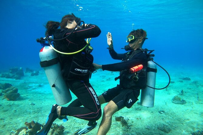 Introductory Diving Class in the Cozumel Reefs - The classroom part: what you learn before you go underwater
