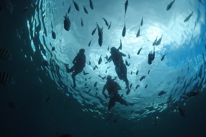 Invisible Boat Snorkeling Tour - Transparent Hull, Real Reef Time, and Why This Tour Works