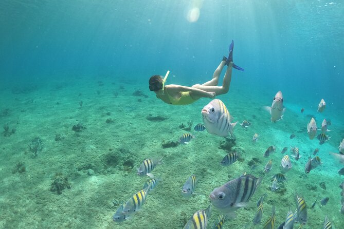 Invisible Boat Snorkeling Tour - Should You Book the Cozumel Invisible Boat Snorkeling Tour?