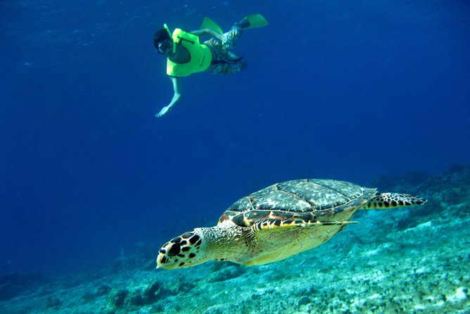 Island Flavors, Tequila & Beach Time - San Miguel de Cozumel: food-forward culture in a comfortable setting