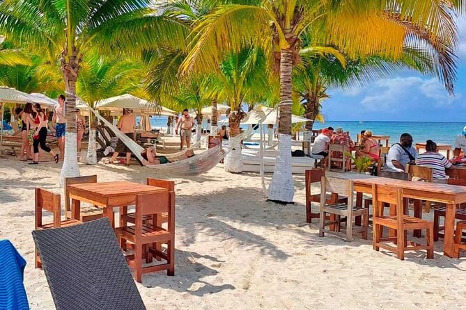 Island Tour in Cozumel, Mayan Show & Tacos - Hotel Hacienda Ixtlan Tequila Seminar: 8 Varieties, Real Differences