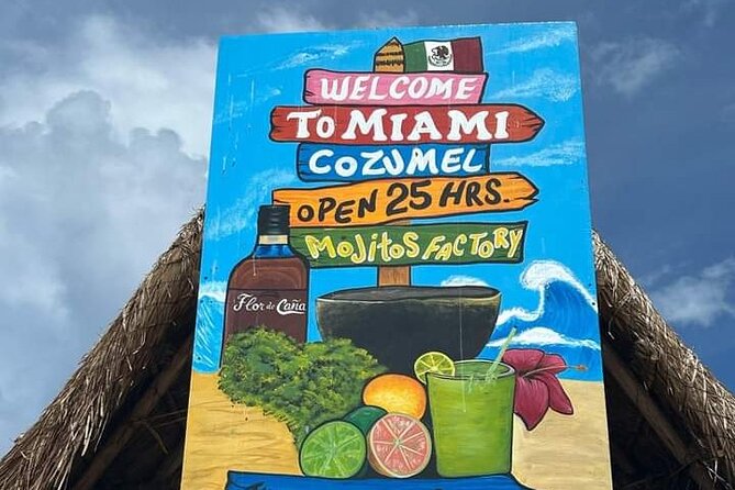 Island Tour With Private Driver - The Quiet Side of Cozumel: Virgin Beaches and Real Swimming Time