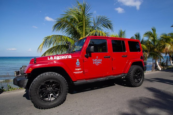 Jeep Exploration & All Inclusive Tortugas Beach Break (Private) - How This Jeep Plan Feels on the Ground