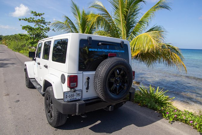 Jeep Exploration & All Inclusive Tortugas Beach Break (Private) - Tortugas Beach Club in the Marine Park: Snorkel, Lunch, Chairs, and Wi-Fi