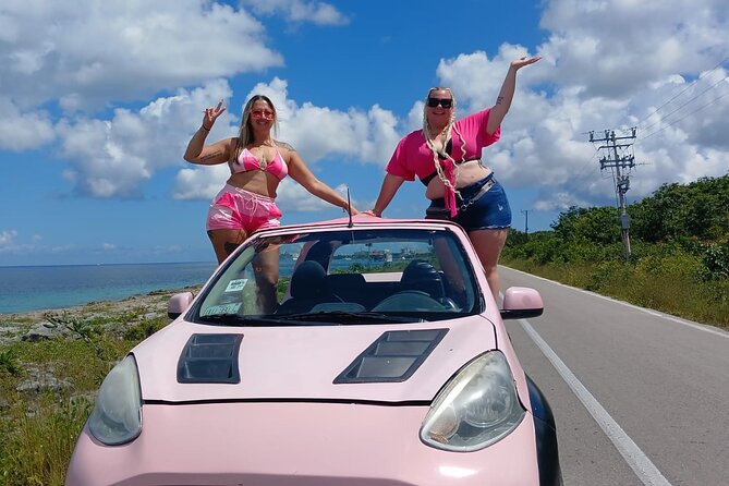 Jeep or Buggy Private VIP All inclusive - San Martín Beach lunch: fajitas, salt air, and a wildlife reality check