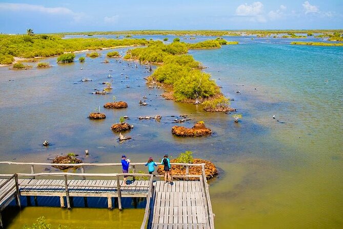 Jeep Safari All Inclusive Private Tour - Price and value: what $92.99 buys you, and what it does not