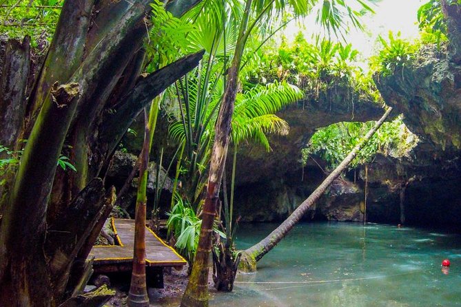 Jungle Jeep Adventure to Mayan Caves, Cenote and Snorkel - Why This Cozumel Jeep and Cenote Combo Works