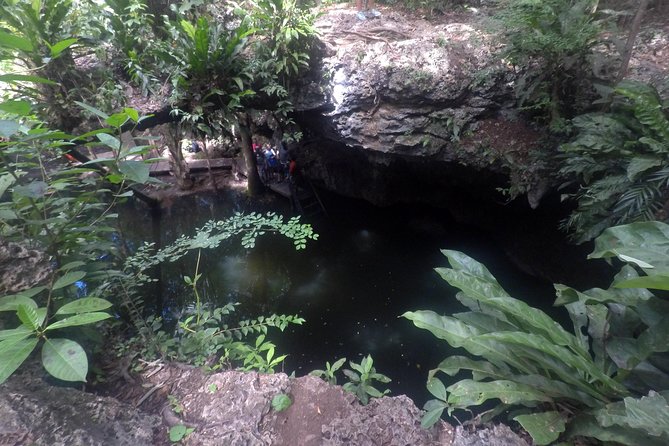 Jungle Jeep Adventure to Mayan Caves, Cenote and Snorkel - Mi Mexico Lindo Tequila Tour: History, Tasting, and the Pitch Factor