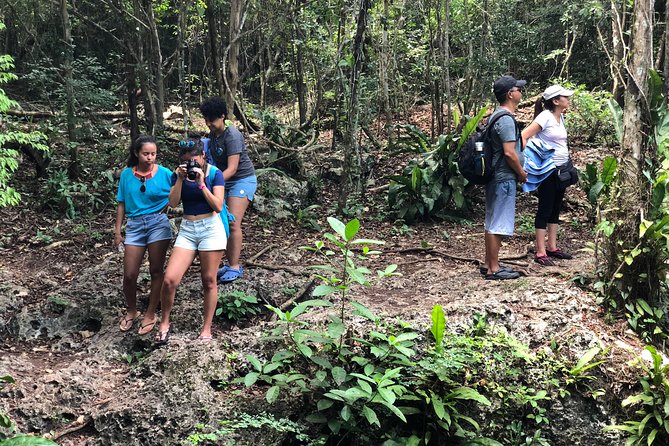 Jungle Jeep Adventure to Mayan Caves, Cenote and Snorkel - Parque Nacional Arrecifes de Cozumel: Dzul Ha Reef Snorkeling Without the Long Wait