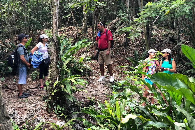 Jungle Jeep Adventure to Mayan Caves, Cenote and Snorkel - Road Bumps, Pickup Time, and Shared Jeep Reality