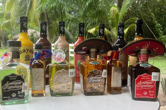 Jungle & Sacred Cenote Quad Adventure - Price and value: what $66.67 really buys (and what it doesn’t)