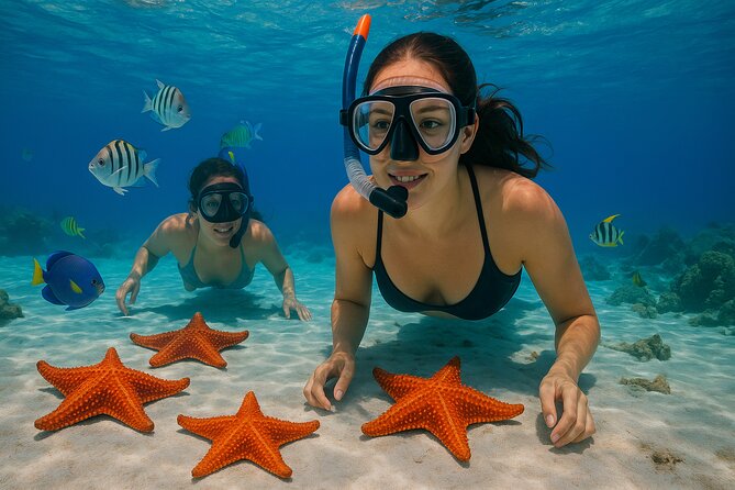 Magnificent Exploration to El Cielo Palancar and Columbia Reefs - Why This Cozumel Snorkel-and-Sand Day Works