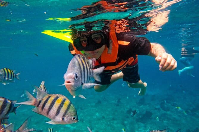 Magnificent Exploration to El Cielo Palancar and Columbia Reefs - El Cielito Beach and the Manta-Ray Moment