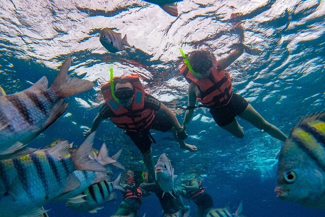 Magnificent Exploration to El Cielo Palancar and Columbia Reefs - Food, Drinks, and How the Included Meal Really Lands