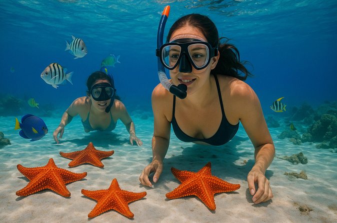 Magnificent Exploration to El Cielo Palancar and Columbia Reefs - Price and Fees: The Part That Can Confuse You