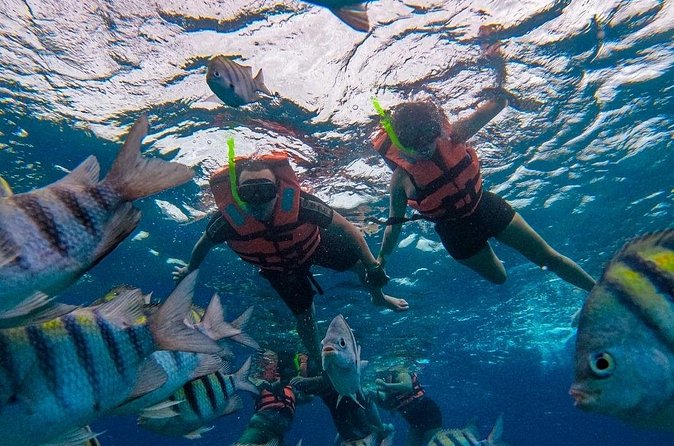 Magnificent Exploration to El Cielo Palancar and Columbia Reefs - Getting There and What the Meeting Point Means