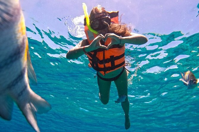 Magnificent Exploration to El Cielo Palancar and Columbia Reefs - Columbia Reef: The Deepest Stop and the Big-Coral Effect