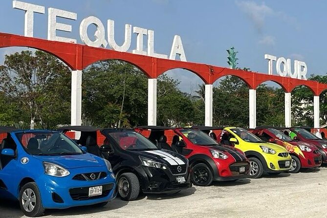 Mayan Adventure by Buggy : Explore Ruins & Culture Park - Key highlights at a glance