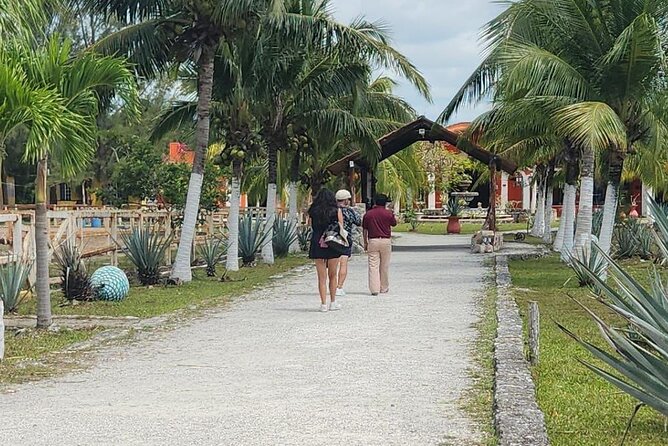 Mayan Adventure by Buggy : Explore Ruins & Culture Park - Who should book this tour, and who might prefer another option