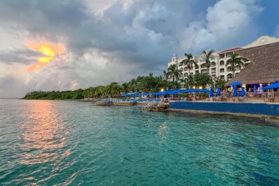 Money Bar All Inclusive Experience with Transportation