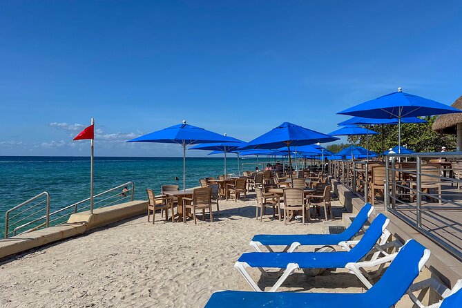 Money Bar Day Pass with Snorkel & Mexican Lunch - Shore snorkeling and Caribbean views at The Money Bar Beach Club