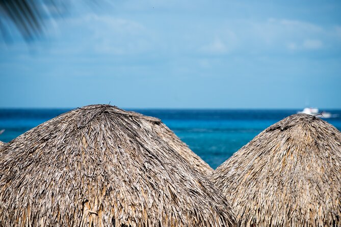 Mr. Sanchos Beach Club All-Inclusive Day Pass - Getting there from the cruise pier, taxi timing that works